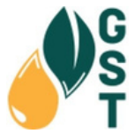 Global Sustainable Transformation logo